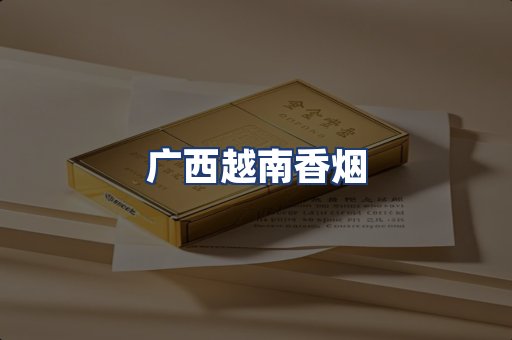 广西越南香烟